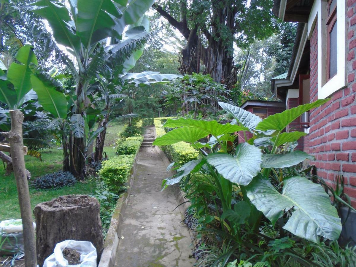 Themi Valley Eco And Cultural Tourism Homestay Arusza Zewnętrze zdjęcie